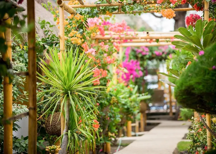 Family Hotel: Bambu Cottages